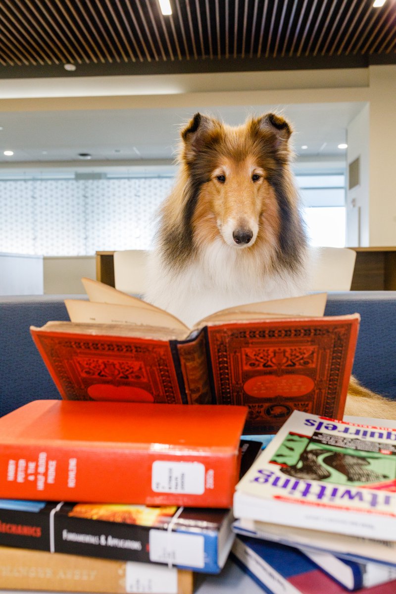 And even @reveille has homework on the first day of class!  #InternationalDogDay