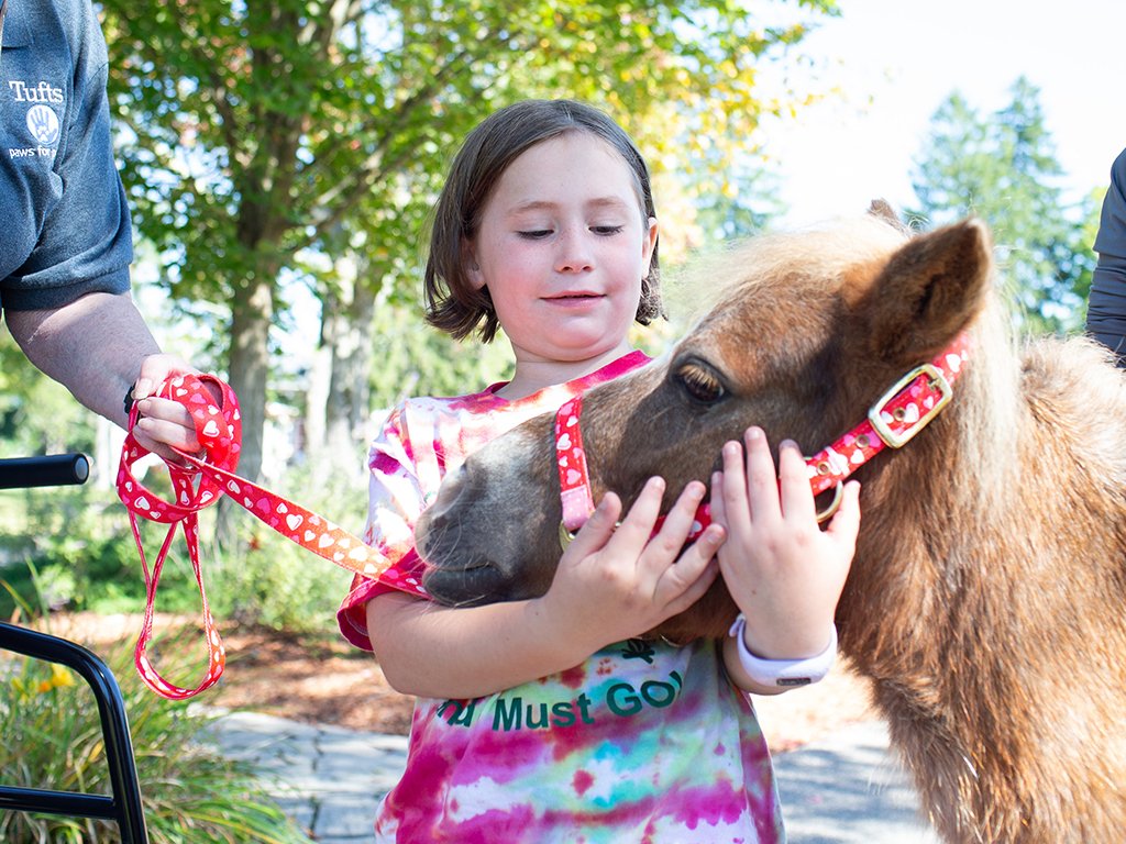 It was a great turnout on Sunday at the annual  @tuftsvet Open House on Tufts&#39; Grafton campus, where guests learned more about the programs offered, the field of veterinary medicine & more!  : @graftonnews  : 