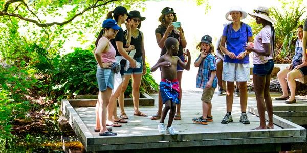 Building healthier, happier cities: Interacting with nature has been shown to improve mental health. A team led by the UW and Stanford University will help city planners create urban environments that benefit the people who live there.  #UWinnovates  