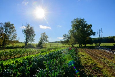 It&#39;s a busy "thyme" of year at @StudentFarmPSU! After a successful Harvest Festival, members of the #PennState Student Farm Club are looking forward to a semester of hands-on work, advocacy, education, and growth! 