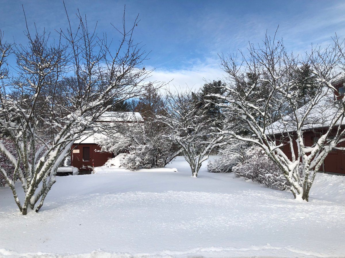 Workin&#39; in a winter wonderland. #YaleLibrary #Yale #YaleInFarmington