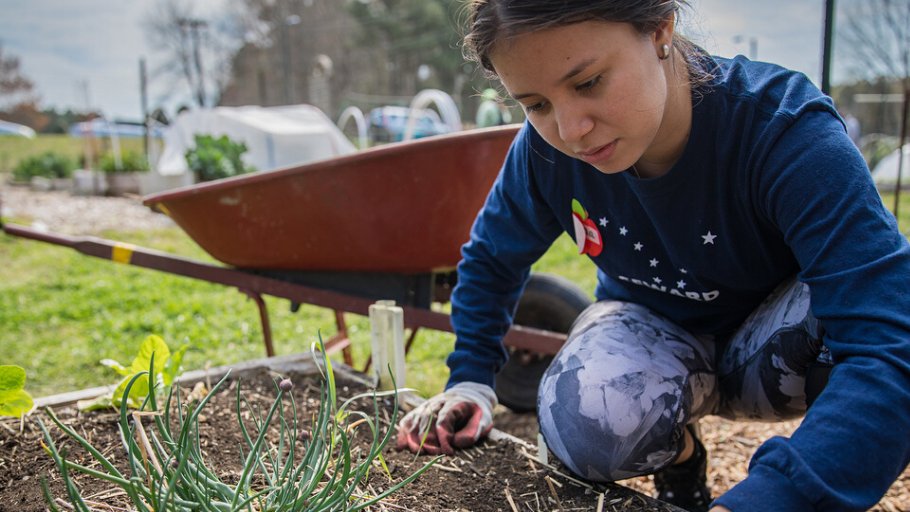 Drawing on oral history, photography, digital mapping & exhibit curation, this @BassConnections team documented how three Durham neighborhoods engage with issues around climate change, environmental justice & gentrification through their gardens   